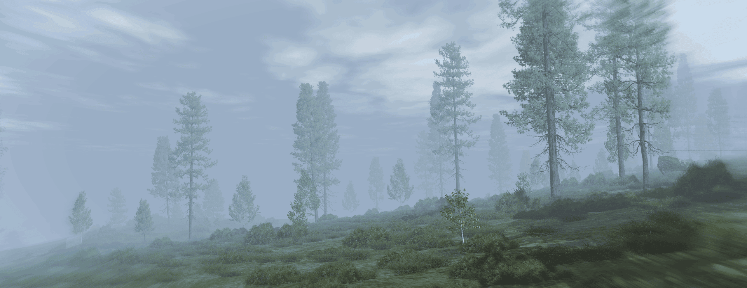 Store Banner