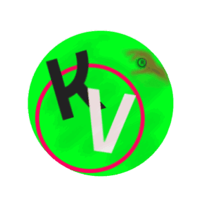 Store Icon